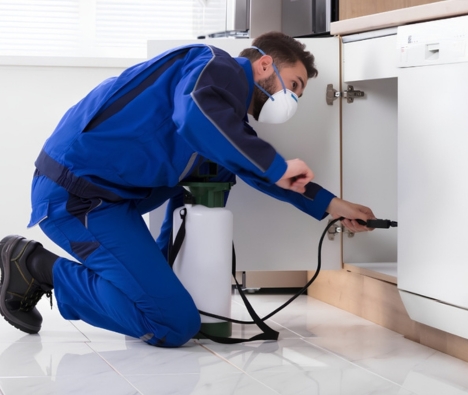 Pest Control Tamil Nadu